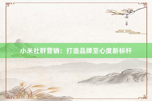小米社群营销：打造品牌至心度新标杆