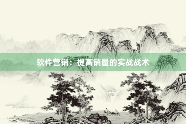 软件营销：提高销量的实战战术